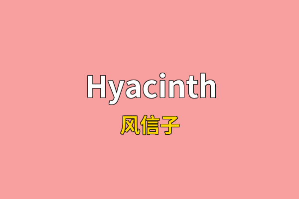 Hyacinth英文名