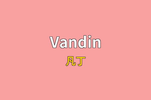 Vandin英文名