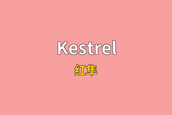 Kestrel英文名