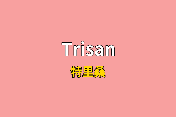 Trisan英文名