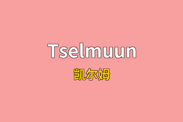 Tselmuun英文名