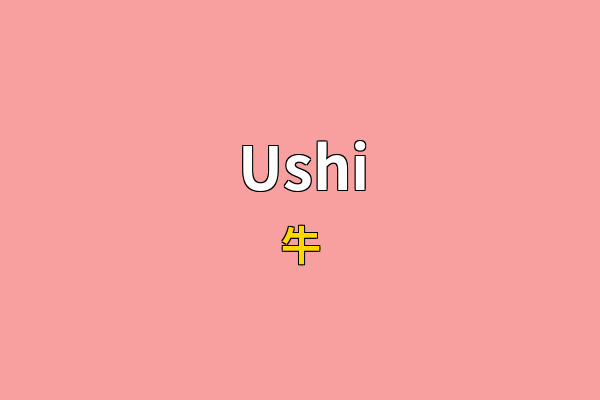 Ushi英文名