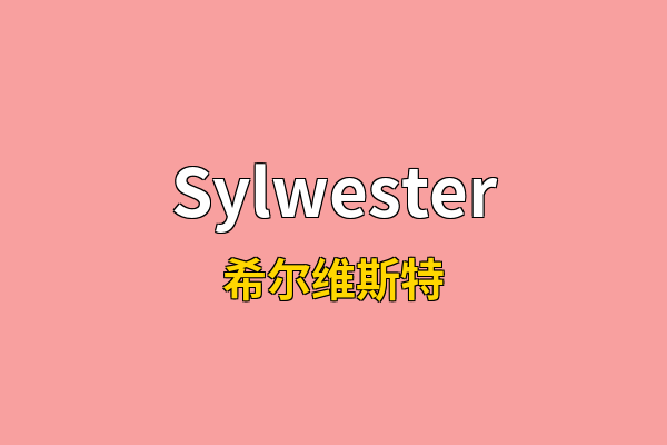 Sylwester英文名