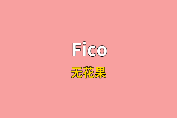 Fico英文名