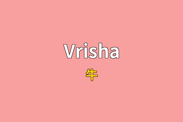 Vrisha英文名