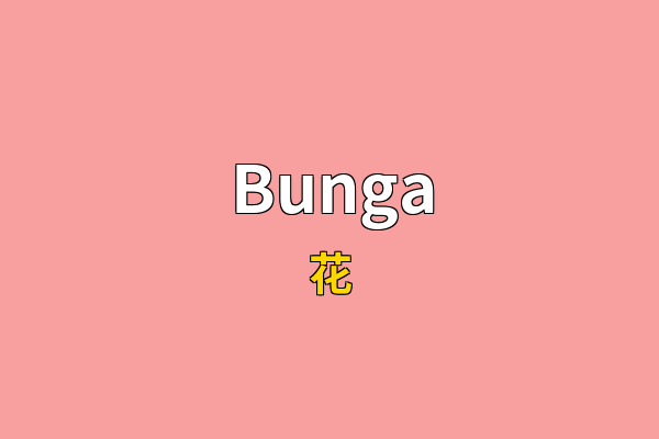 Bunga英文名