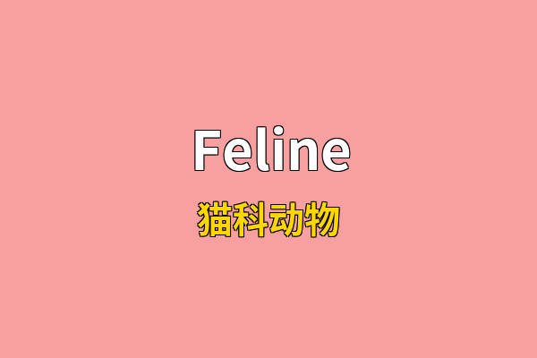 Feline英文名