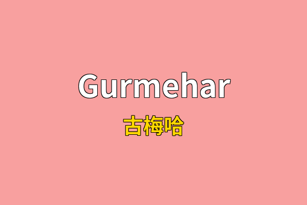 Gurmehar英文名