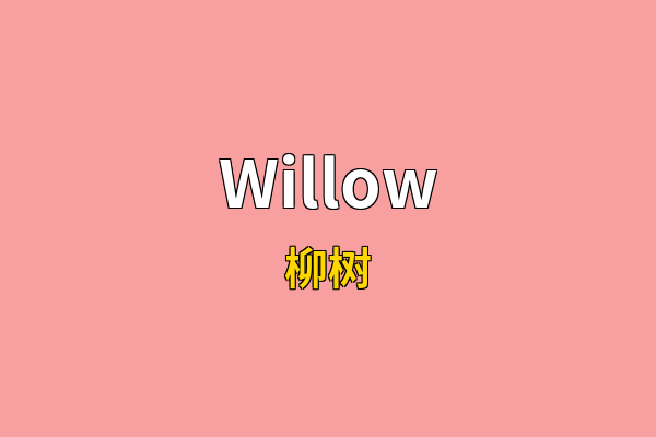Willow英文名