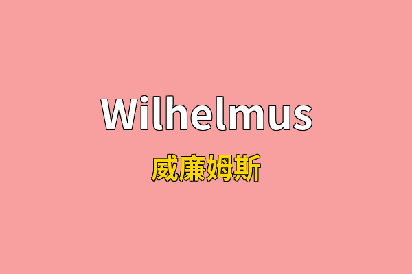Wilhelmus英文名