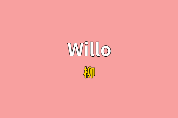 Willo英文名