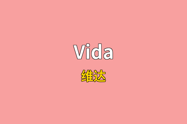 Vida英文名