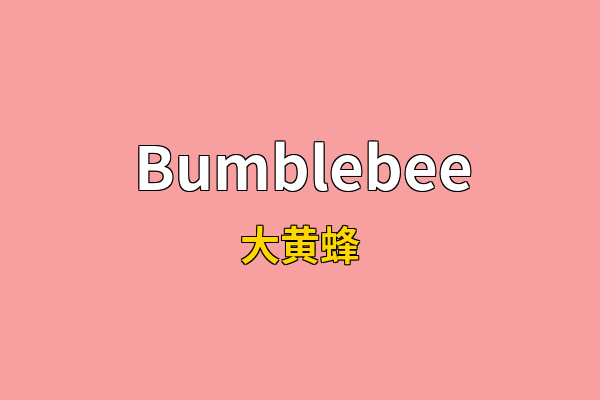 Bumblebee英文名