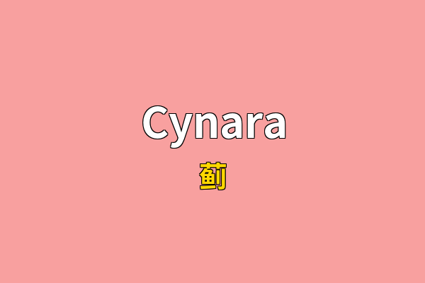 Cynara英文名