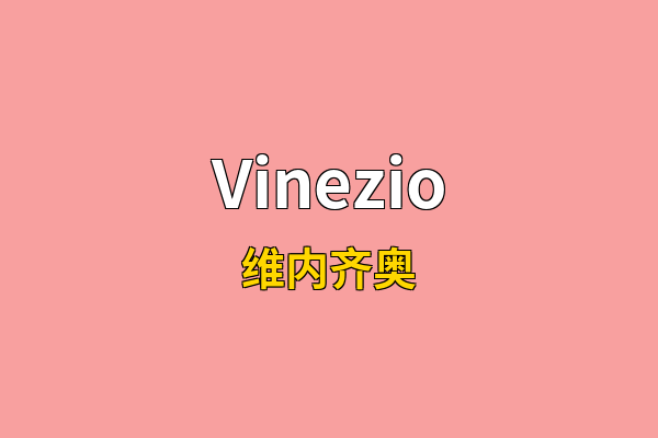 Vinezio英文名
