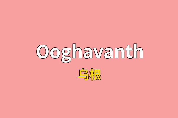 Ooghavanth英文名