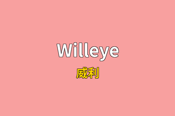 Willeye英文名