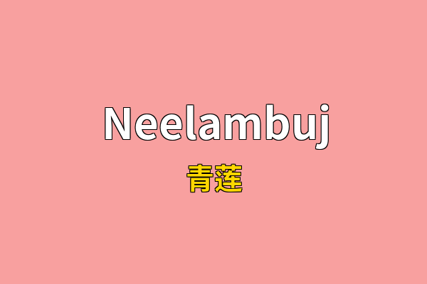 Neelambuj英文名