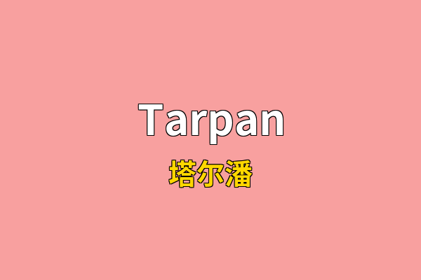 Tarpan英文名