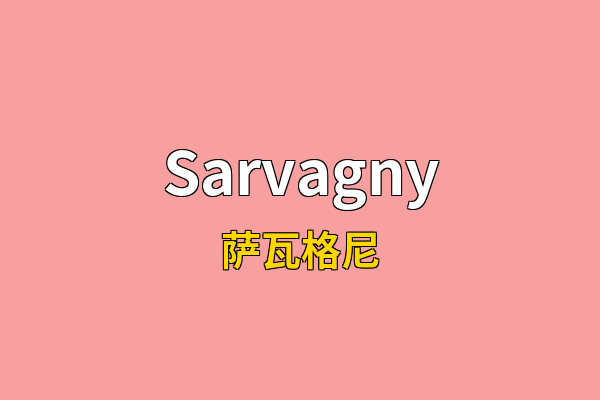 Sarvagny英文名