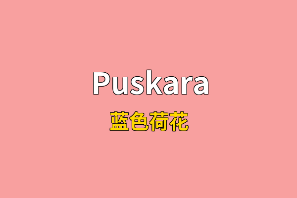 Puskara英文名