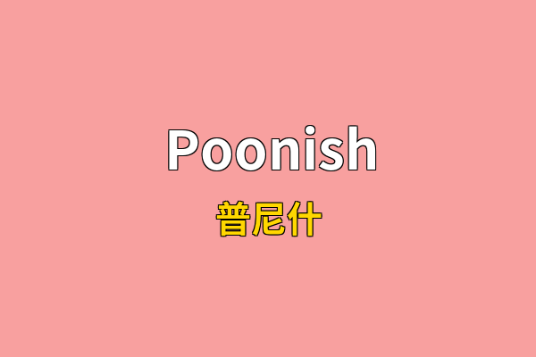 Poonish英文名