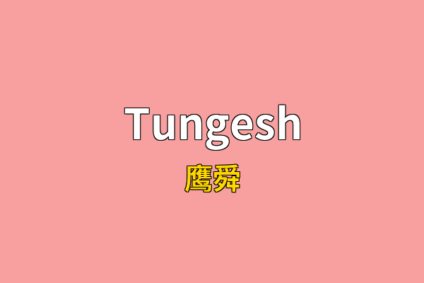 Tungesh英文名