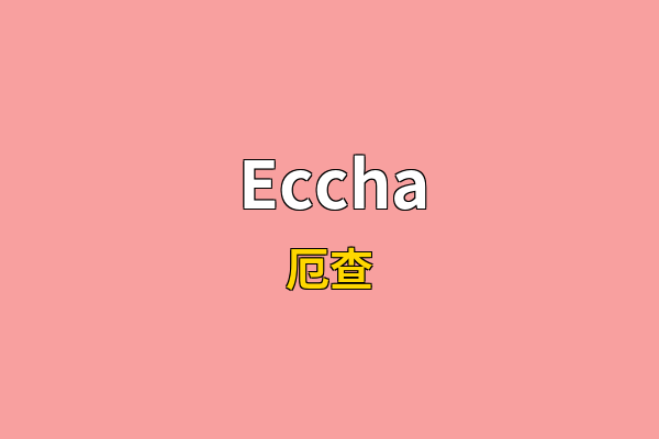 Eccha英文名