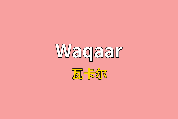 Waqaar英文名