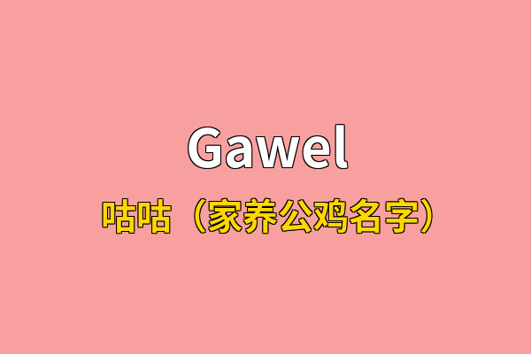 Gawel英文名