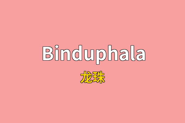 Binduphala英文名