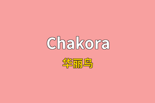 Chakora英文名