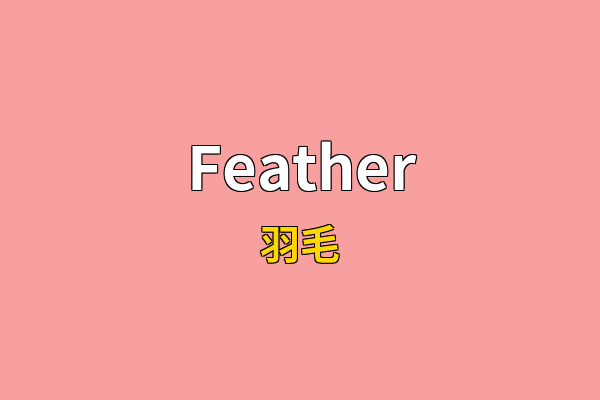 Feather英文名