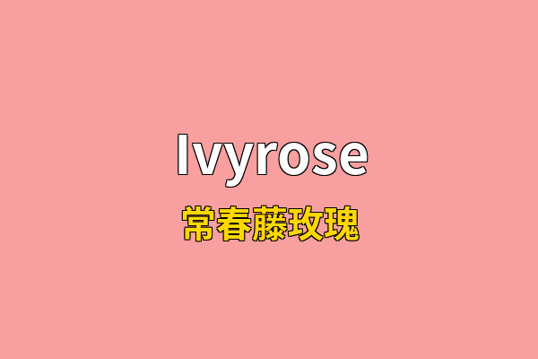 Ivyrose英文名