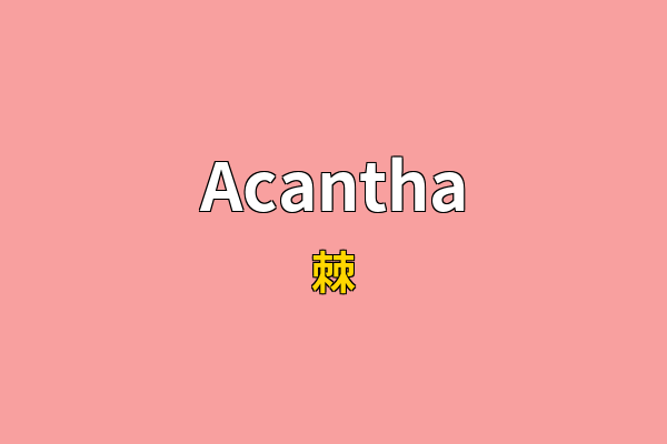 Acantha英文名