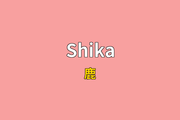 Shika英文名