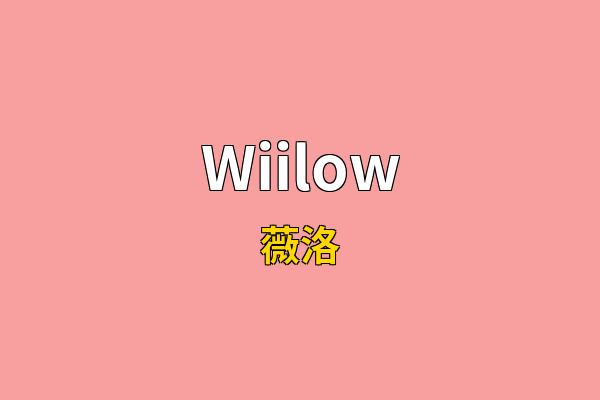 Wiilow英文名