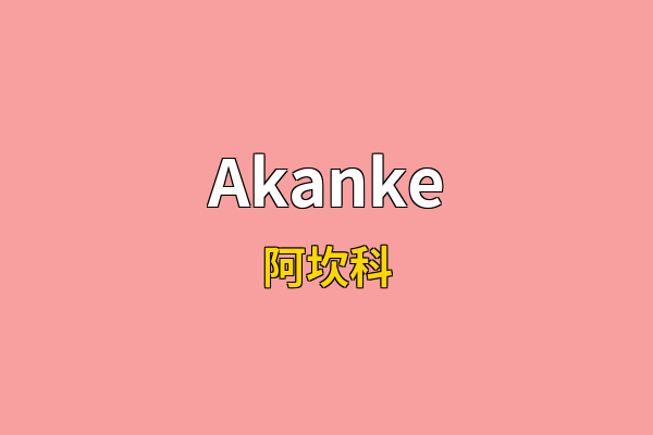 Akanke英文名