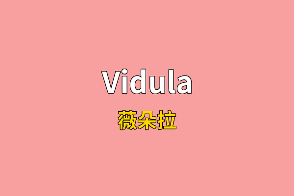 Vidula英文名