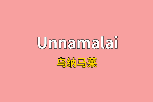 Unnamalai英文名