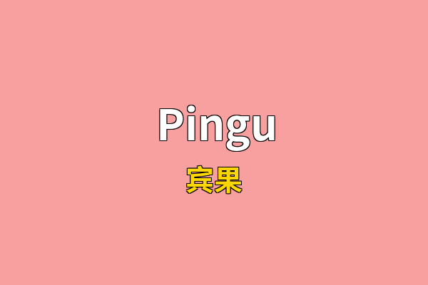 Pingu英文名