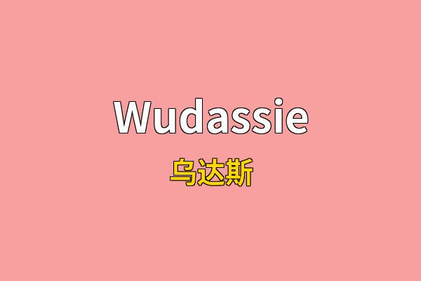 Wudassie英文名