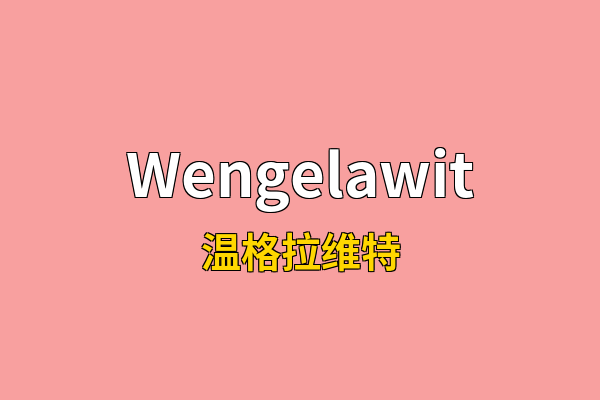 Wengelawit英文名