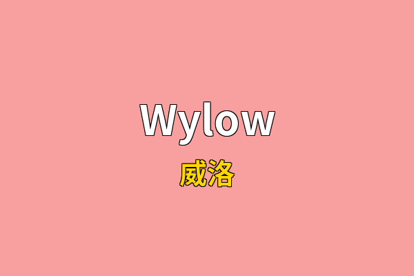 Wylow英文名