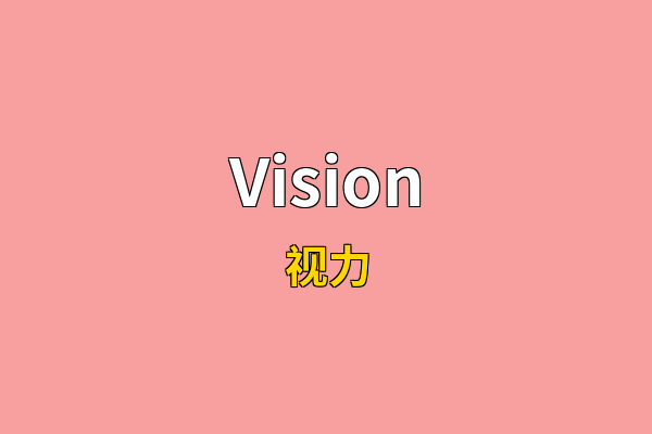 Vision英文名