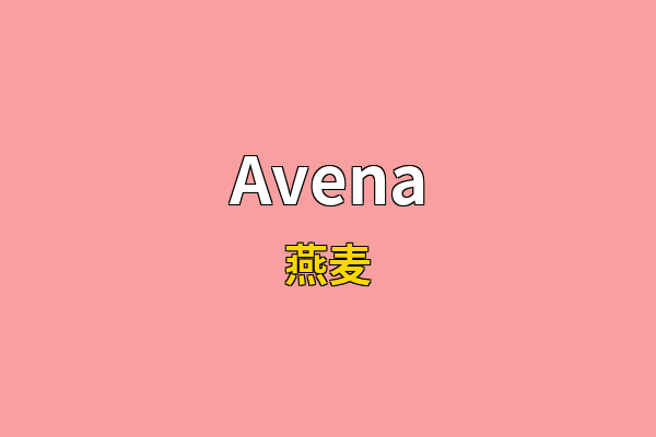 Avena英文名