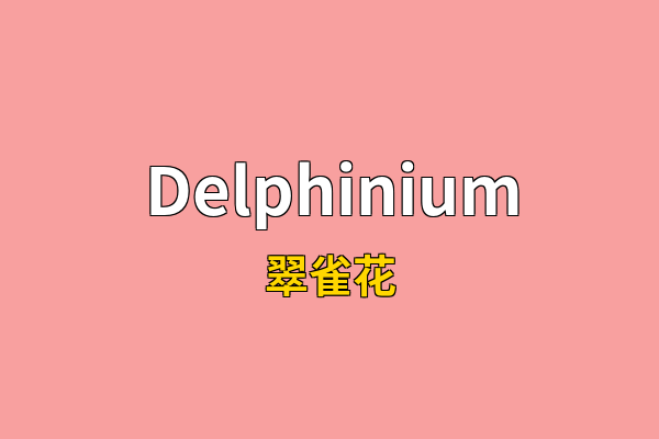 Delphinium英文名