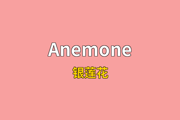 Anemone英文名