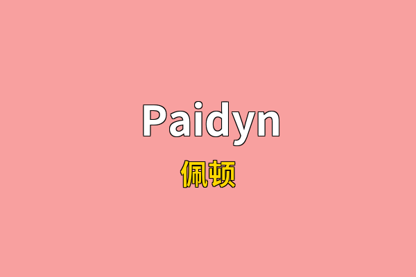 Paidyn英文名