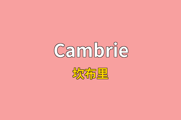 Cambrie英文名
